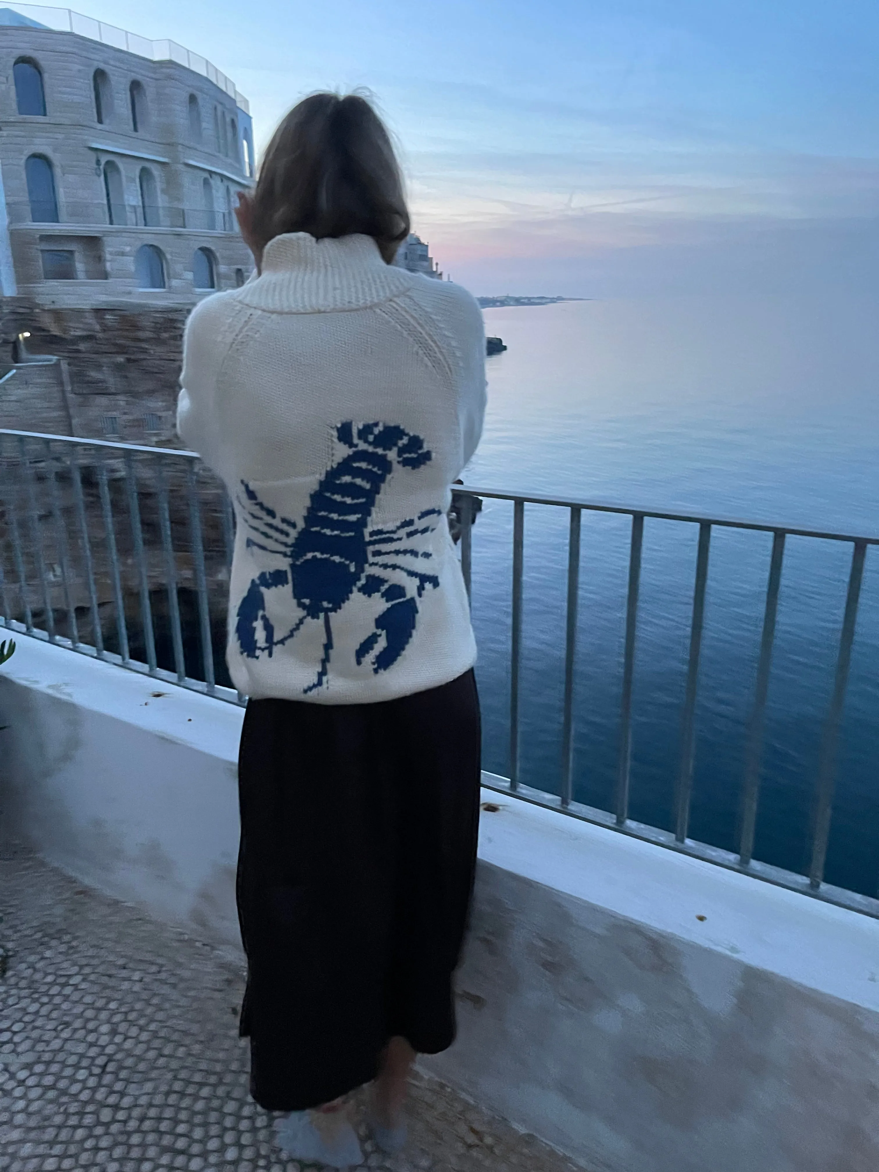 Chunky Knit Varsity Lobster 🦞 Cardigan