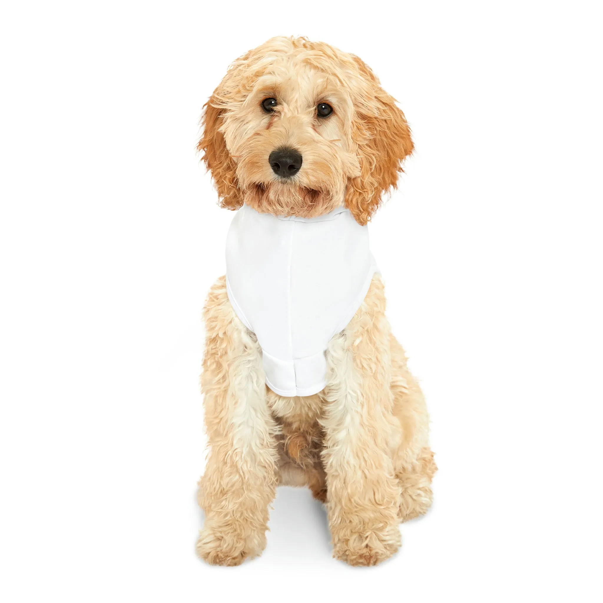 Mardi Gras King Cake Dog Hoodie (xxs-lrg)